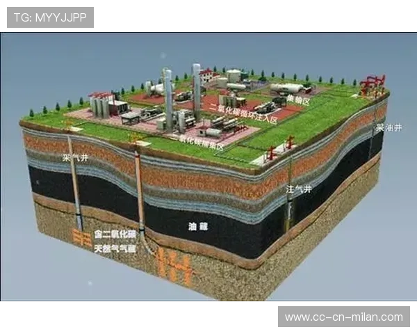 法兰克福战略大革新:战术板上注入快速反击新思路 法兰克福战略大革新:战术板上注入快速反击新思路